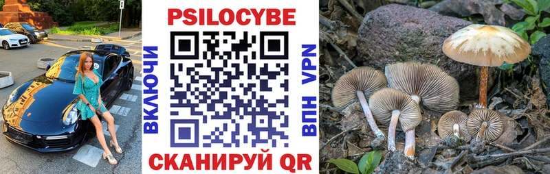 Псилоцибиновые грибы GOLDEN TEACHER  Ессентуки 